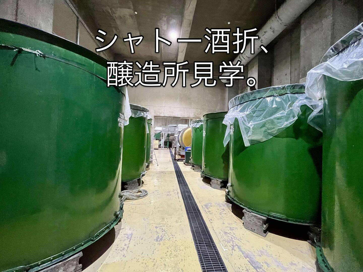 ワイン合宿に