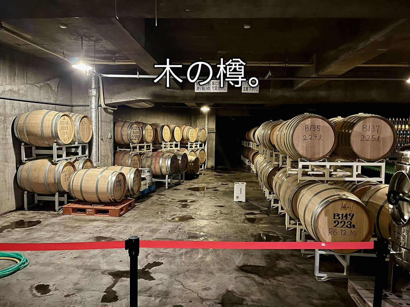 ワイン合宿に