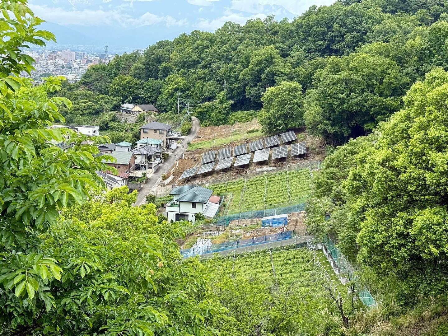 ワイン合宿に