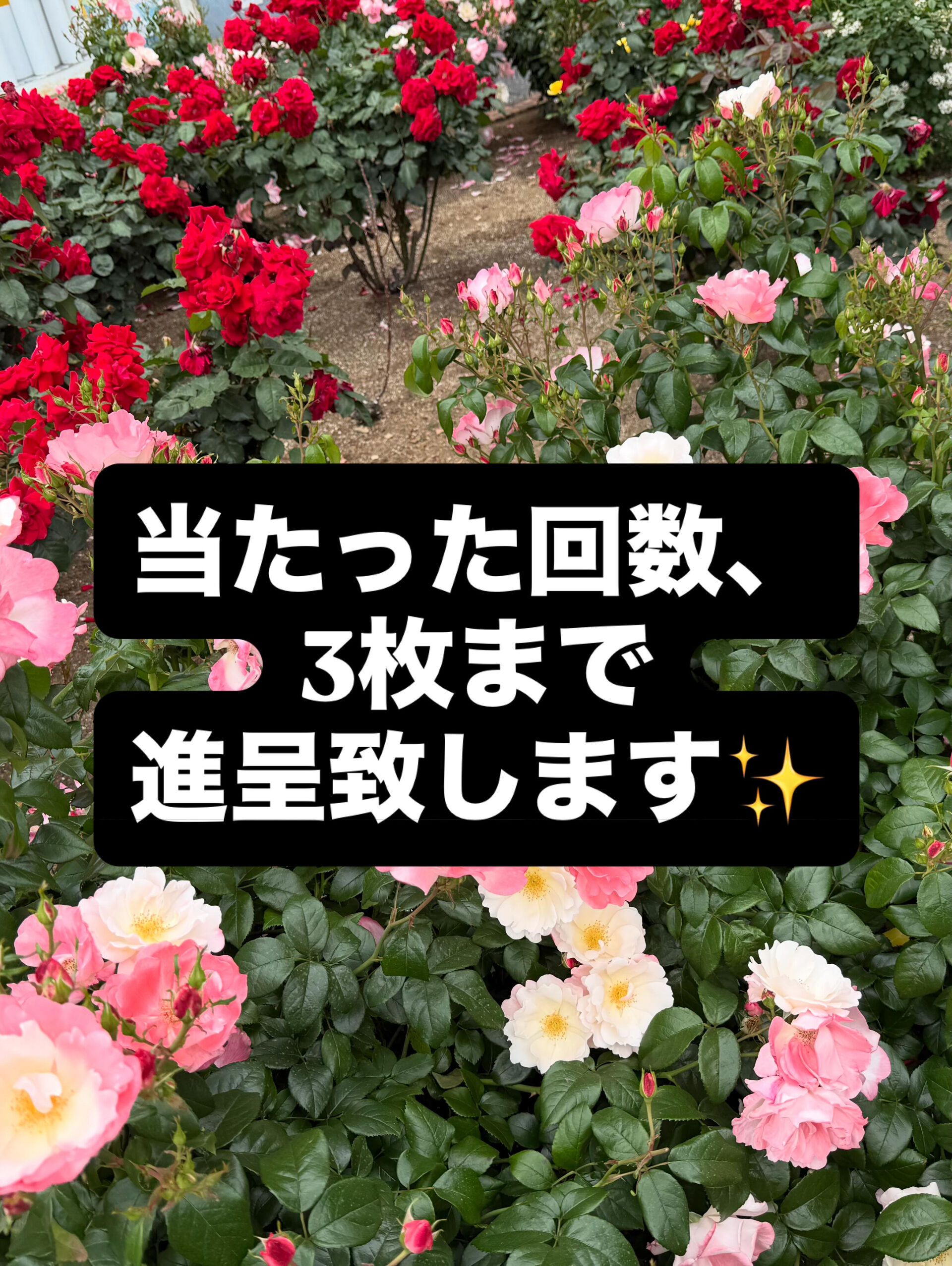 10周年感謝祭