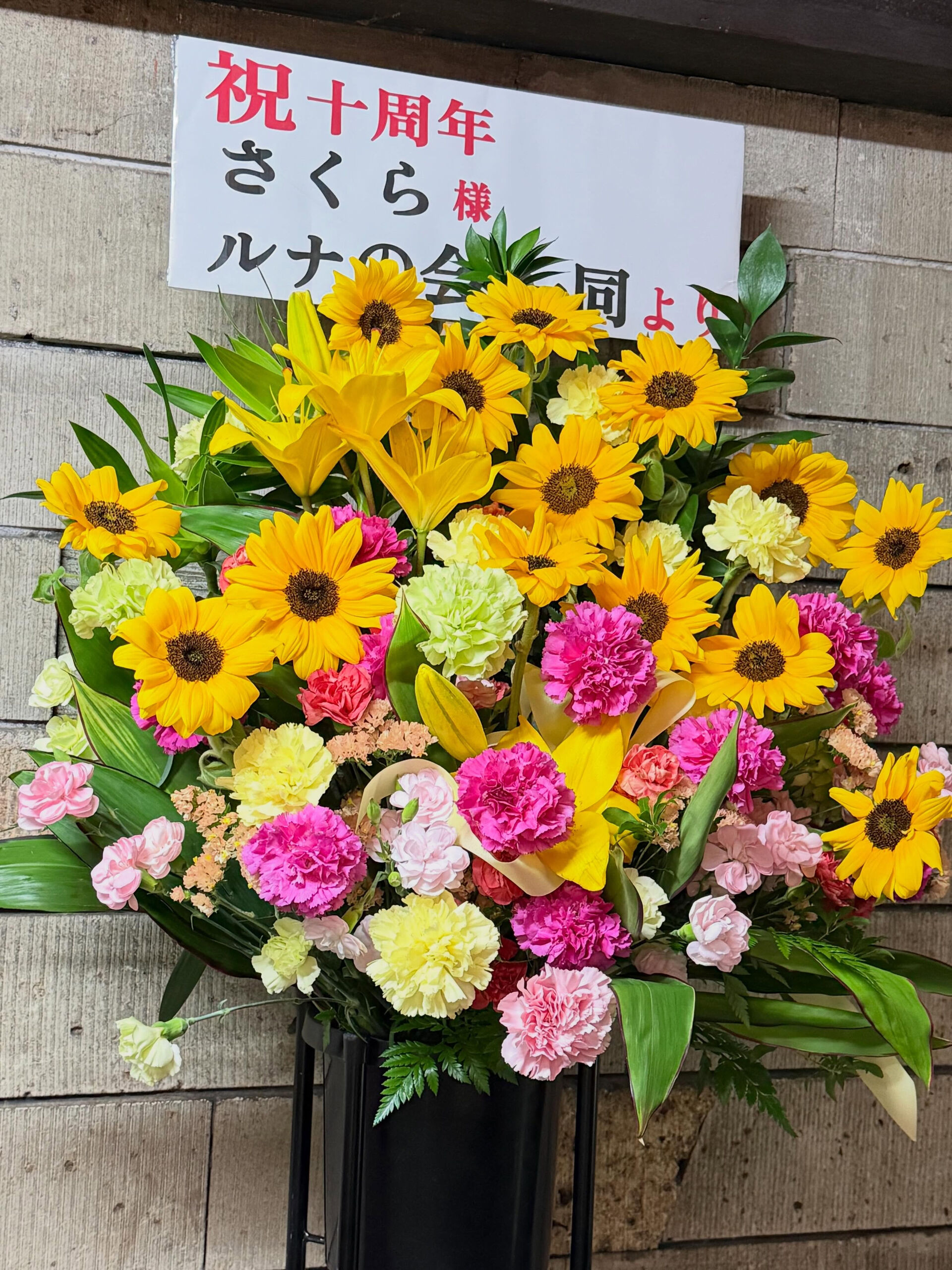 素敵な仲間に囲まれて、