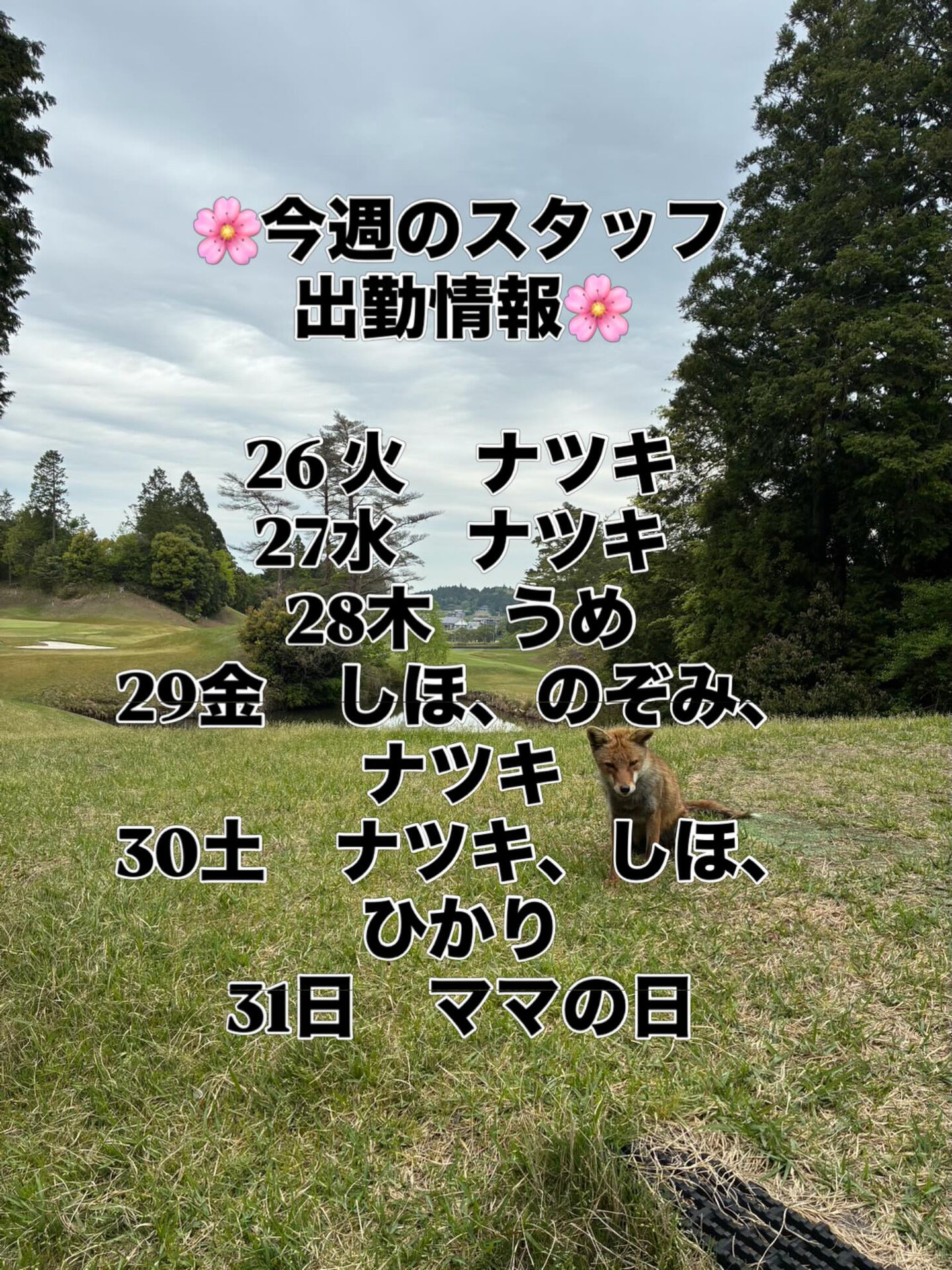 土曜日から、