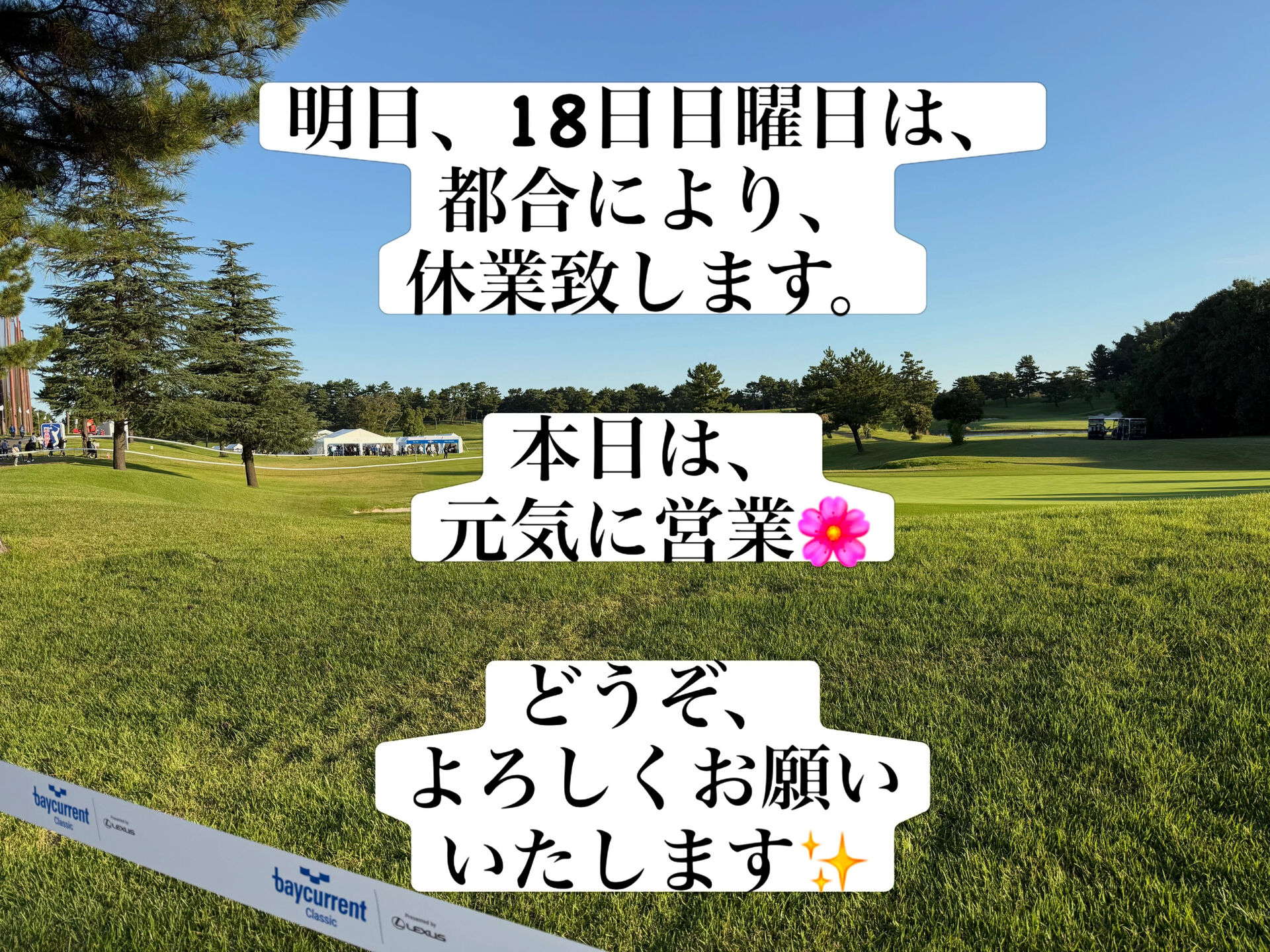 multi_image